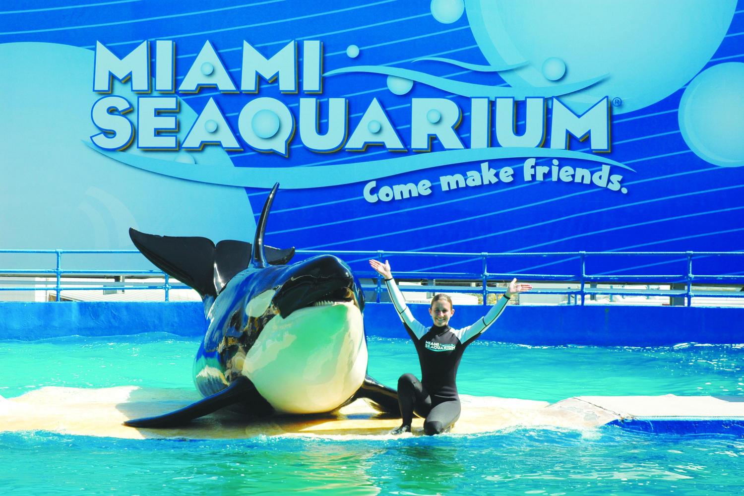 Discover Oceanic Delights at Miami Seaquarium 2